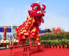 專(zhuān)業(yè)的舞獅表演怎么找?(圖1)